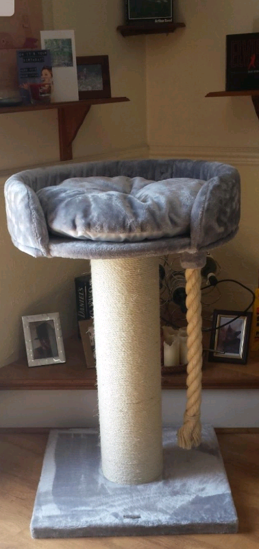 gumtree cat scratching post